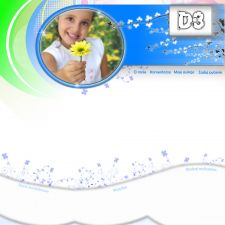 Darmowy szablon aukcji - D3