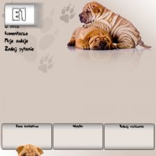 Darmowy szablon aukcji - E1