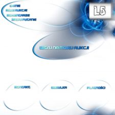 Darmowy szablon aukcji - L5
